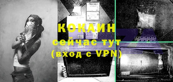 мет Вяземский