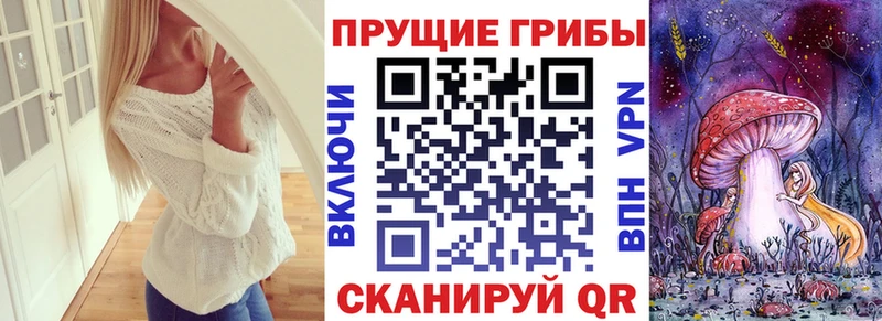 Галлюциногенные грибы мицелий Томилино